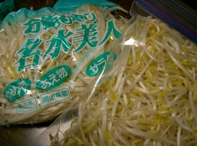 保存の方法　その３【もやし】