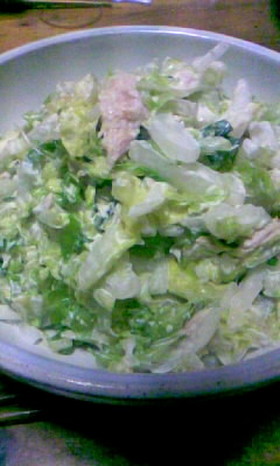 おかわり続出！白菜サラダ