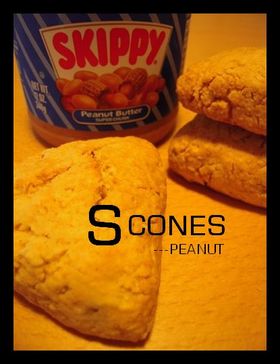 ---基本BISCUITS