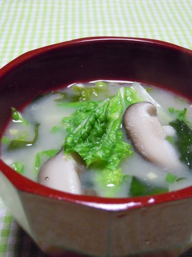 白菜の味噌汁