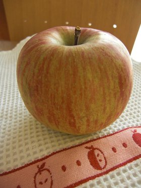 りんごの保存法