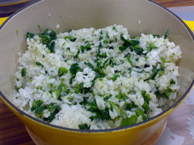簡単!美味しい!菜の花混ぜごはん