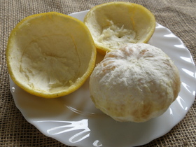 ぐるっと楽しい♪夏みかんの皮のむき方