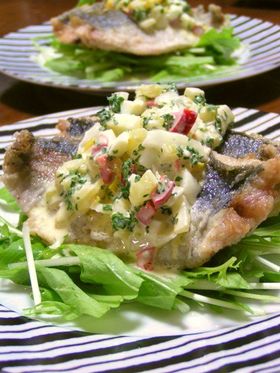 鯵のマリネカラフル野菜ソース添え