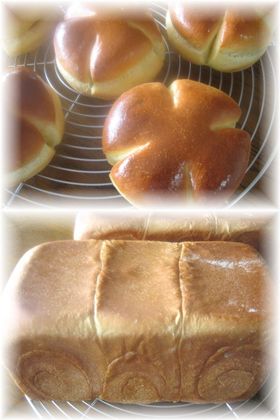 牛蒡ブレッド＆チーズ牛蒡パン
