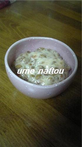 納豆苦手な関西人の為の梅納豆♪