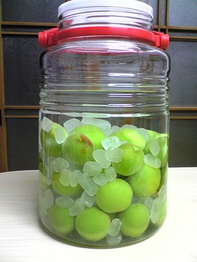 母の味☆自家製梅酒