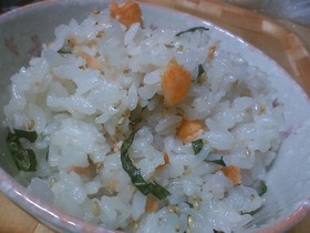 ☆鮭ごはん☆