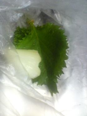 青しその保存法