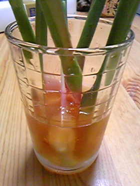 甘酢DE谷中生姜