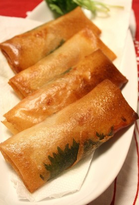 しそがたっぷり食べられる~しそ春巻き