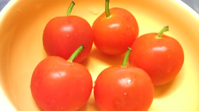 簡単キャラ弁♪ﾌﾟﾁﾄﾏﾄで可愛いリンゴ