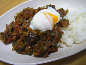 夏はこれ♪　ゴーヤカレー