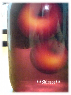 *お酒のレシピ*赤ワインで梅酒