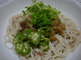 ねばねば！ぶっかけ蕎麦