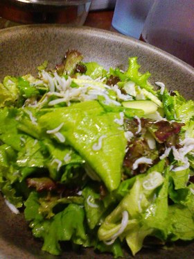 レタスサラダ