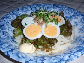 夏レシピ！サラダうどん