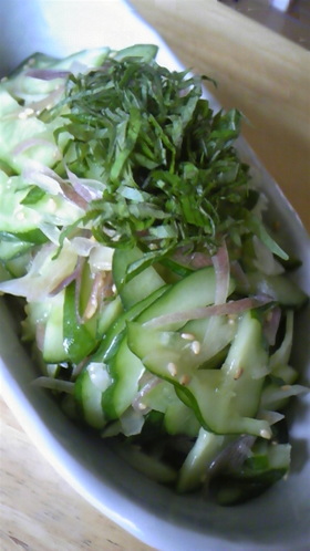 みょうがと胡瓜の塩ゴマ油和え〜