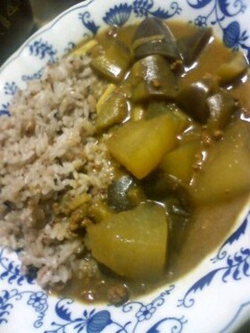 なすと冬瓜のトロトロカレー豆乳仕立て
