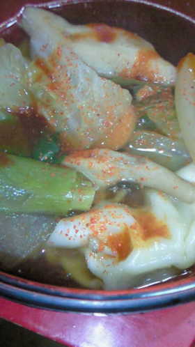 これぞ節約！餃子野菜鍋◎