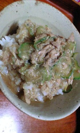 冷や汁風ぶっかけご飯