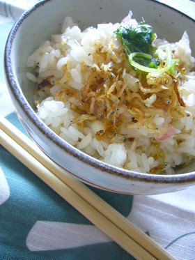 みょうがとちりめんじゃこの混ぜご飯