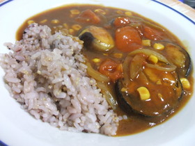 トマトとナスの夏カレー＜ベジタリアン＞
