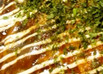 大阪のお好み焼き♪　～スジ肉入り～