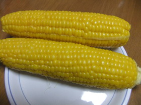 とうもろこしの茹で方 旨い!簡単!完璧!