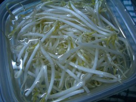 もやしの保存