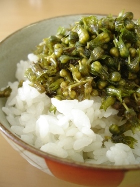 プチプチ美味い♪しその実の炒り煮