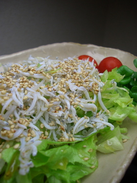 簡単♪しらすとレタスの塩ごまサラダ