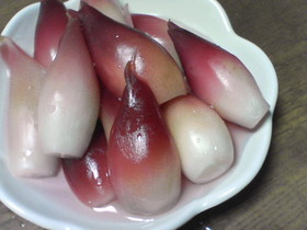 みょうがの甘酢漬け