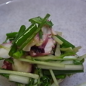 簡単！タコと水菜のサラダ