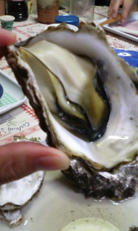 殻付きカキの酒蒸し