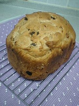 HB＊くるみ＆レーズンの全粒粉食パン