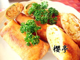 残り物カレーで春巻き♫~おまけ付き~