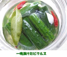キュウリのピクルス