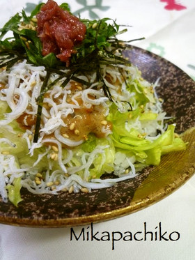 ☆栄養満点♬♬納豆＆しらすご飯☆