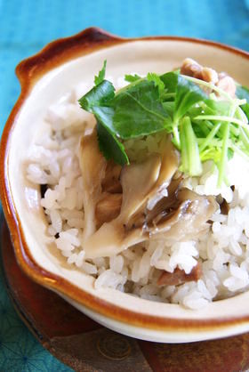 鶏肉とイカの塩炊き込みご飯