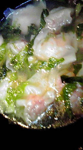 雲呑（わんたん）鍋