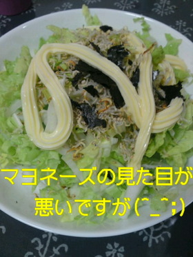 白菜のシャキシャキサラダ