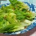 ホットレタス