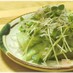 きゅうりとかいわれのサッパリ箸やすめ