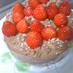 ◆りぴ・りぴ㊙チョコレートケーキ◆