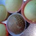 フライパンで簡単♪ふわふわ蒸しパン