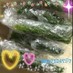 大葉の冷凍保存