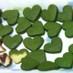 抹茶クッキー・基本の抹茶クッキー