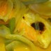 みんな大好き鮭の野菜どっさりあんかけ♡