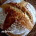 自家製酵母　プレーンカンパーニュ